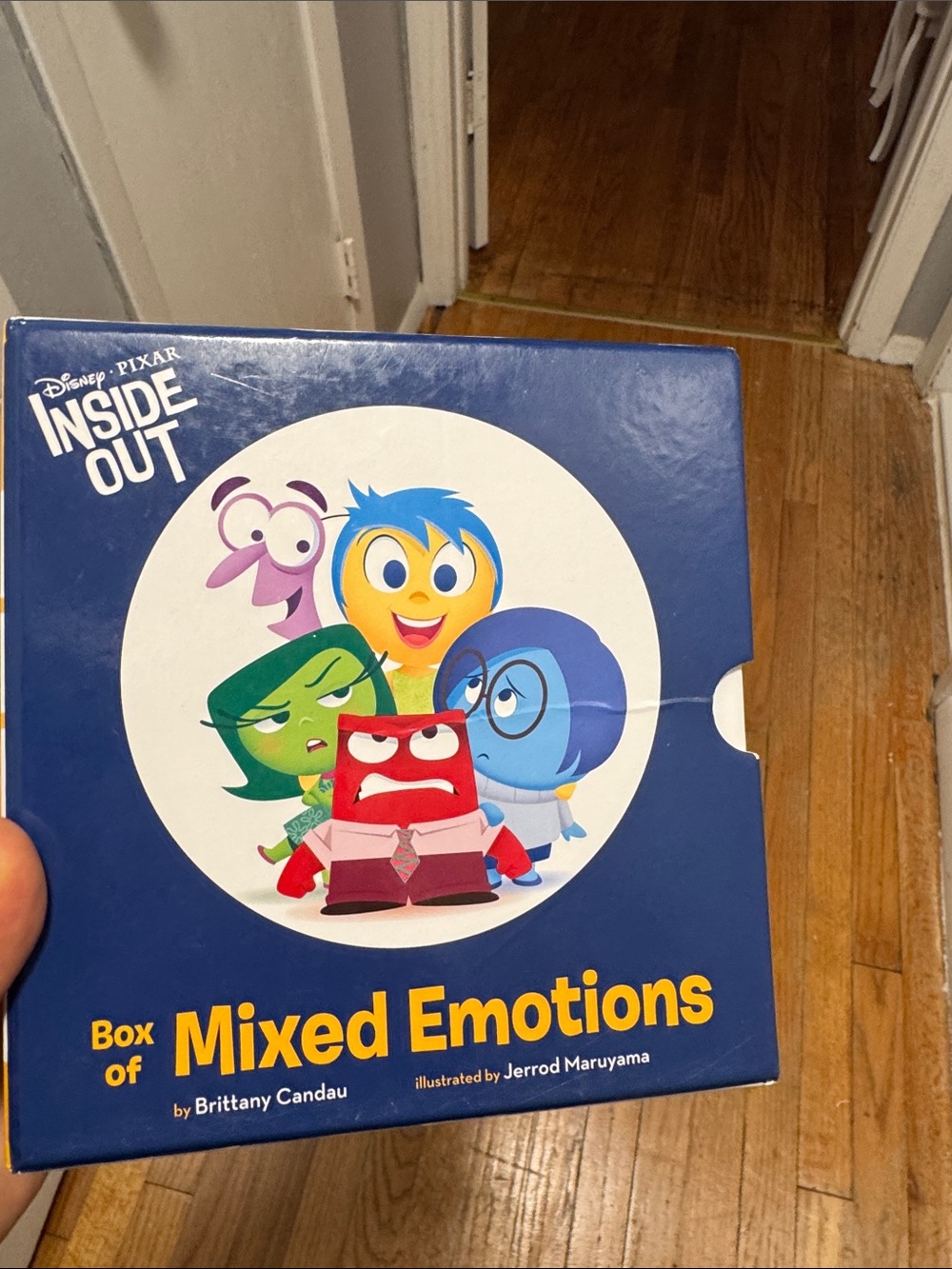 Inside Out Box of Mixed Emotions - Blue